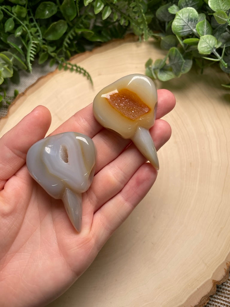 Agate Bird Skull