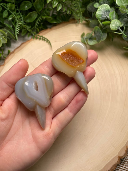 Agate Bird Skull