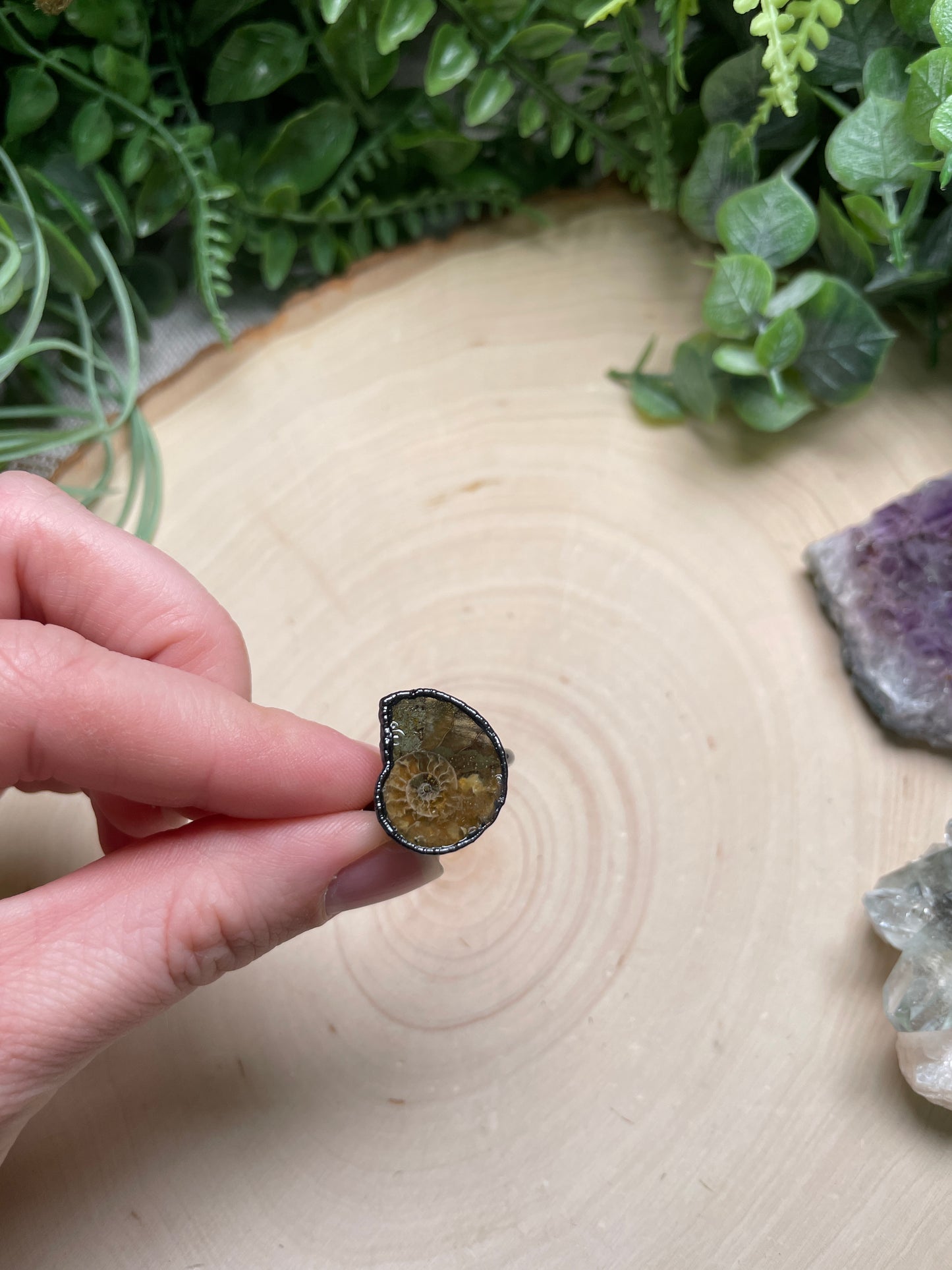 Ammonite Fossil Ring Size 6.75