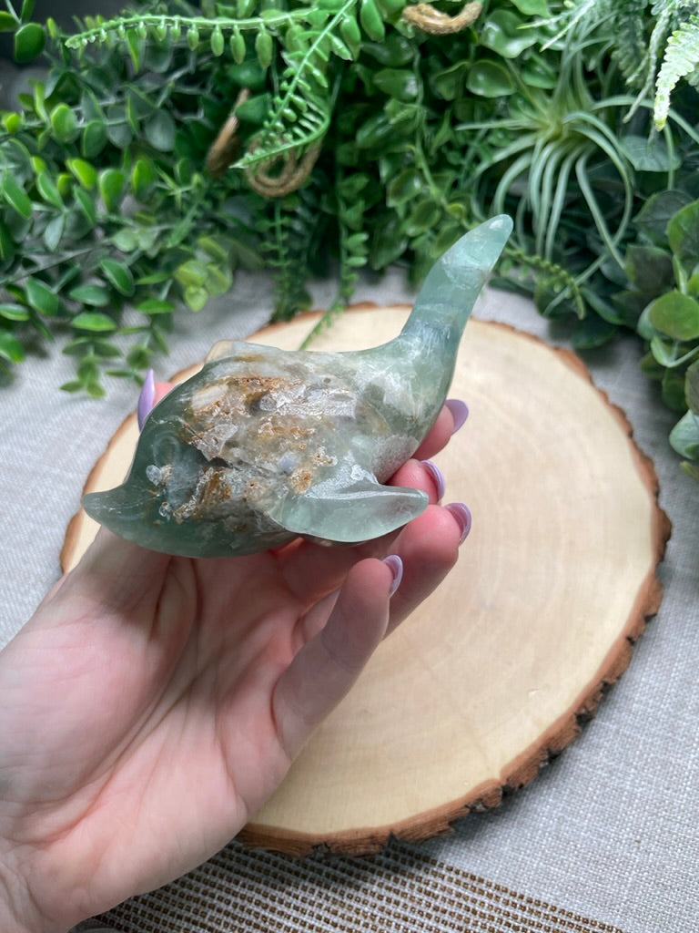 Fluorite Dolphin