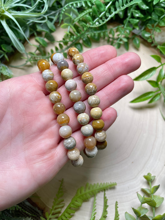 8mm Beaded Fossilized Coral Bracelet