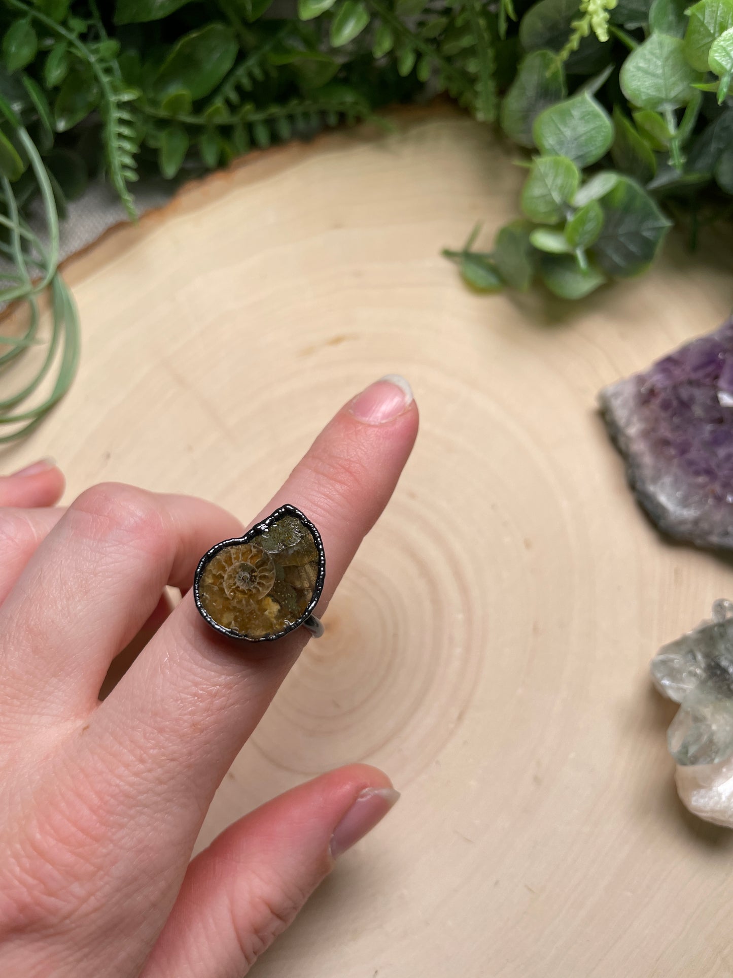 Ammonite Fossil Ring Size 6.75