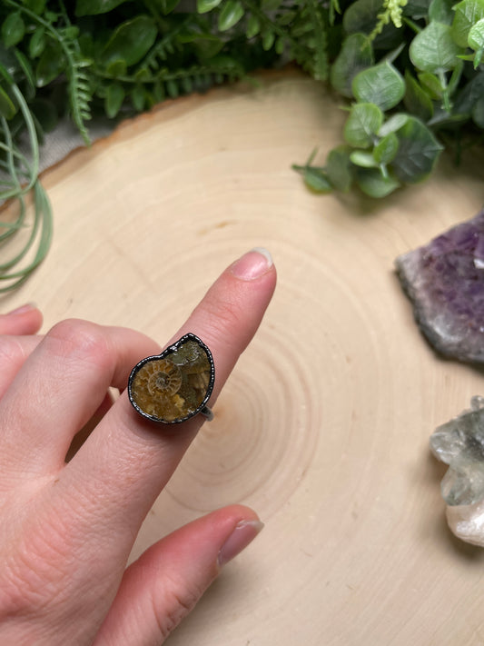 Ammonite Fossil Ring Size 6.75