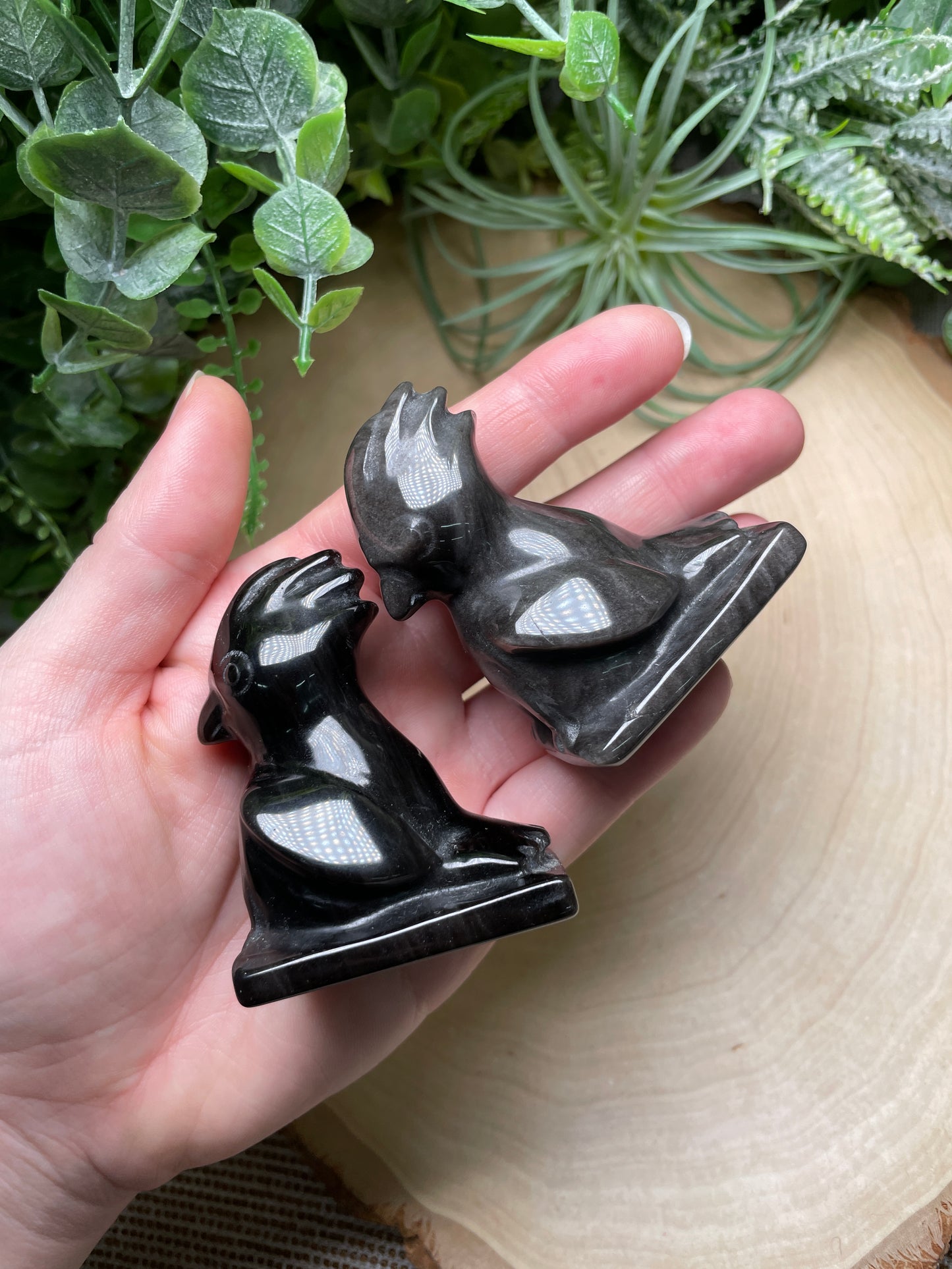 Obsidian Bird