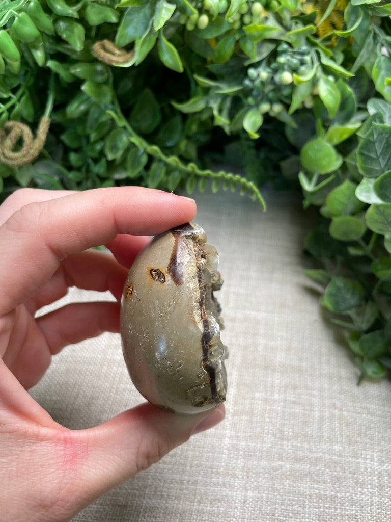 Septarian Egg