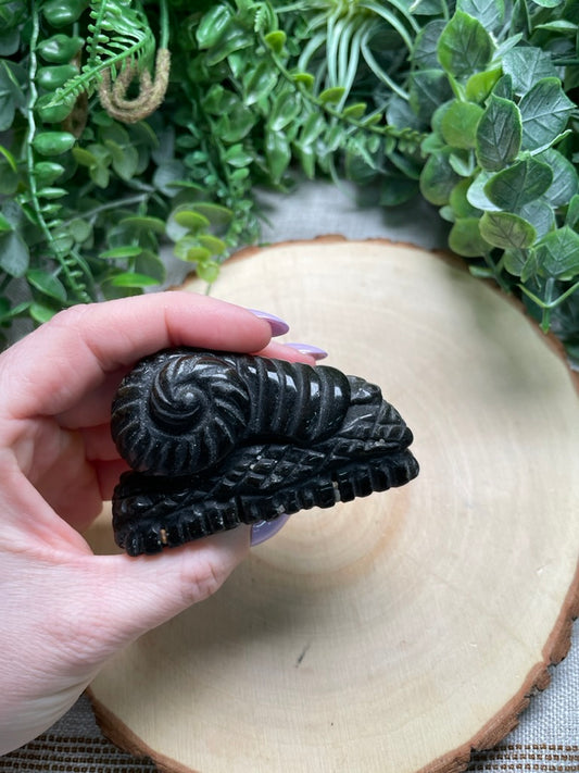 Obsidian Snail (chipped)