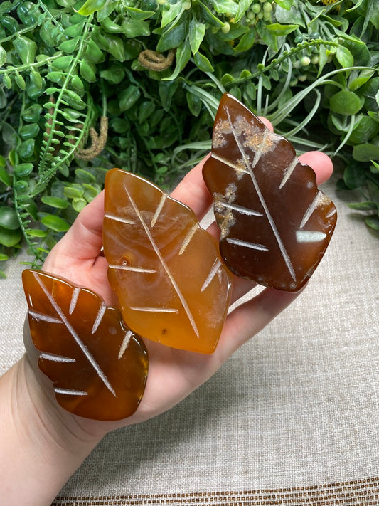 Red Agate Leaf