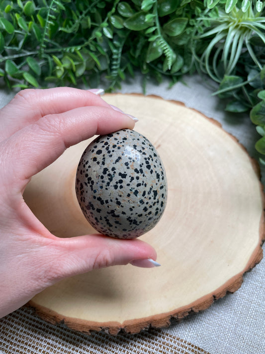 Dalmatian Jasper Palm Stone