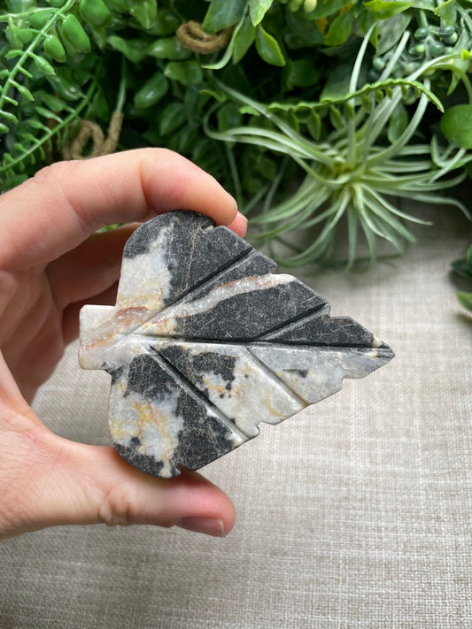 Zebra Jasper Leaf