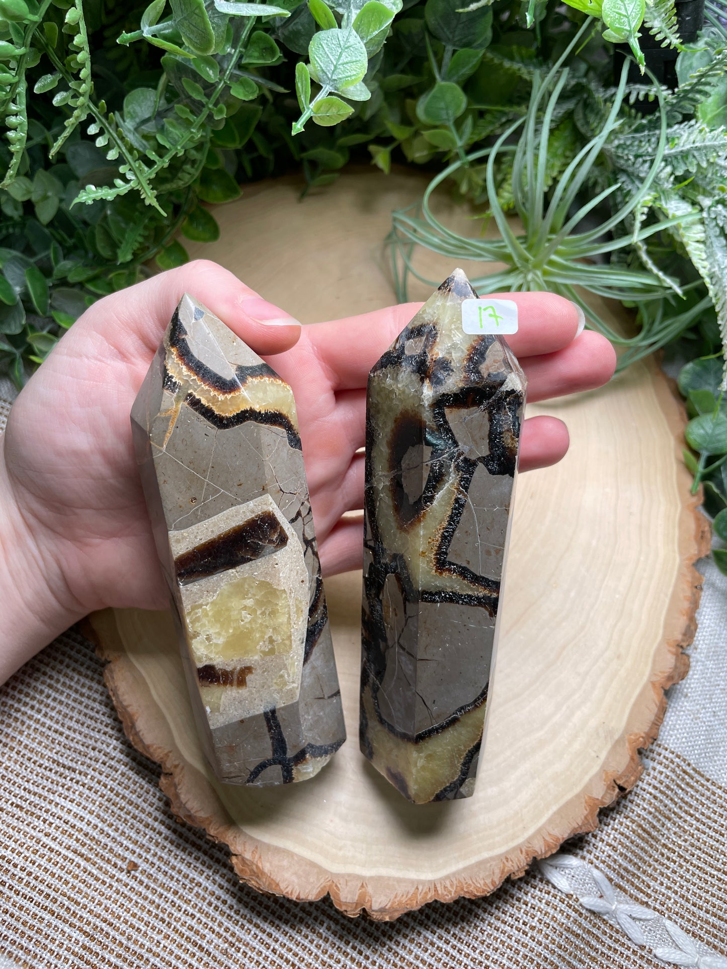 Septarian Tower