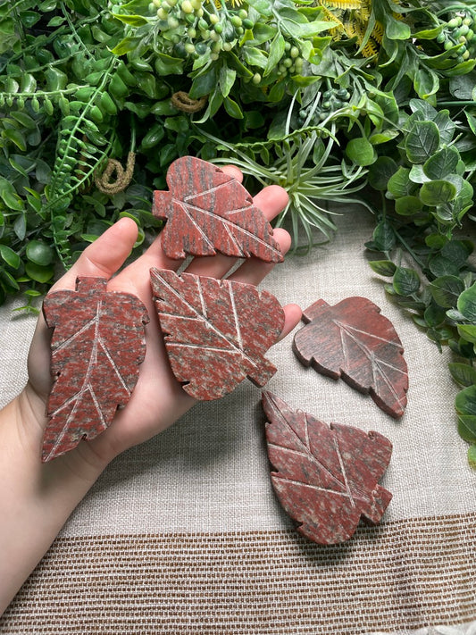 Red Que Sera Leaf