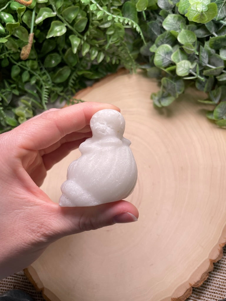 Cherub Angel in a Shell