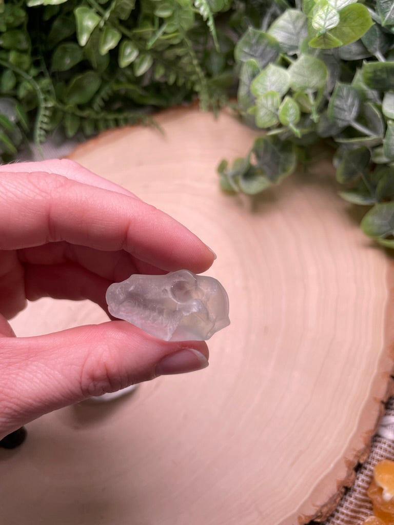 Crystal Dog Skull