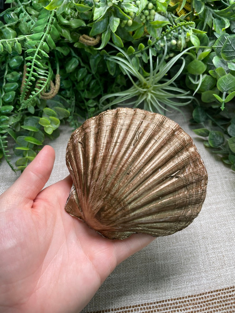 Decoupage Shell