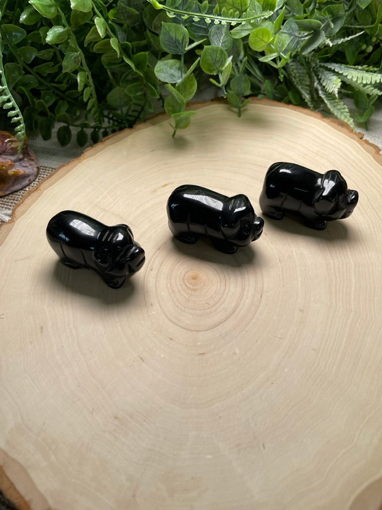 Obsidian Pig