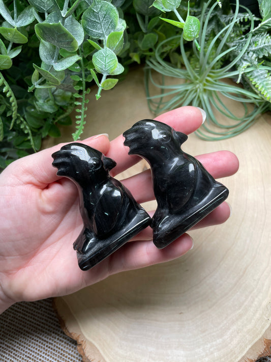 Obsidian Bird
