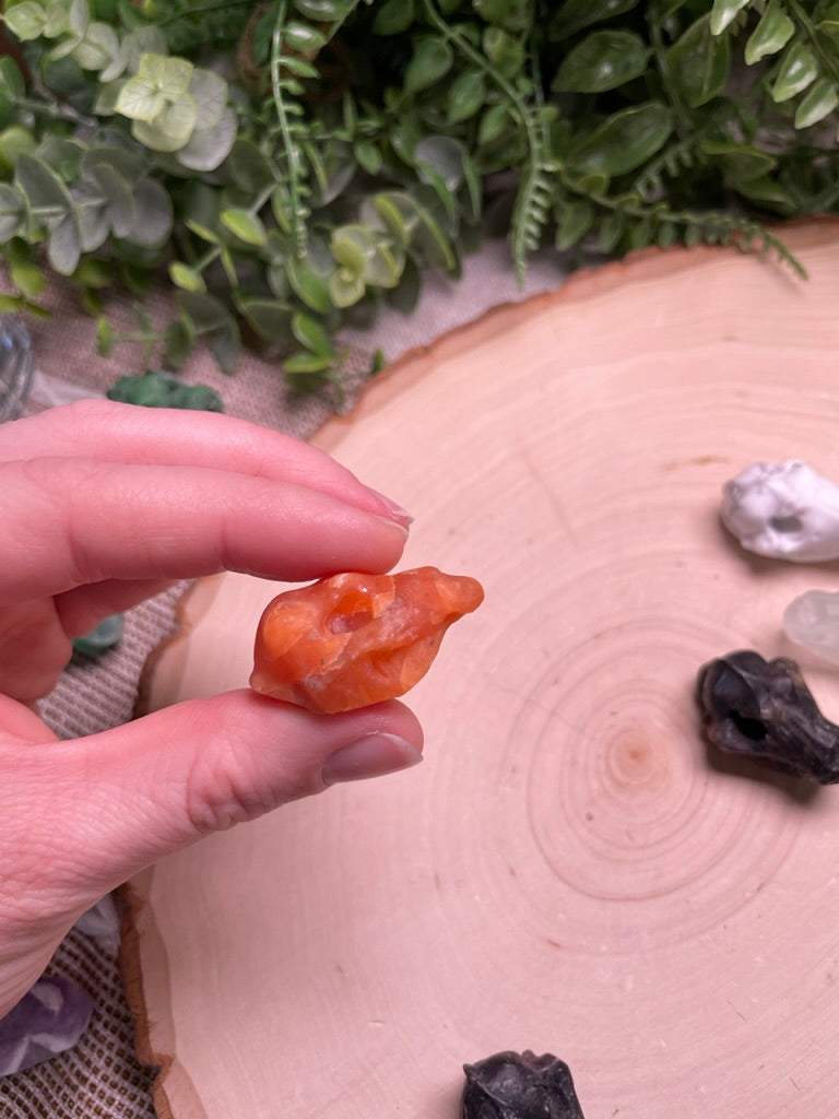 Crystal Dog Skull