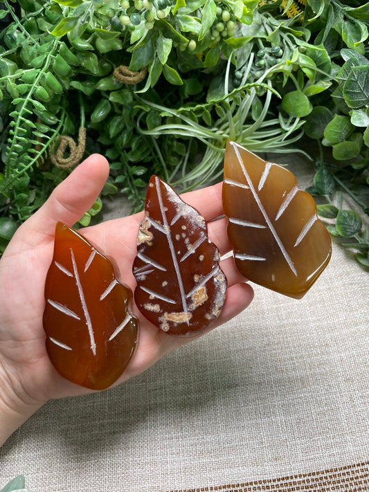 Red Agate Leaf