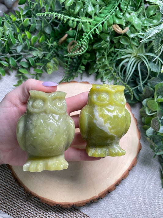 Green Opal Owl (chipped)