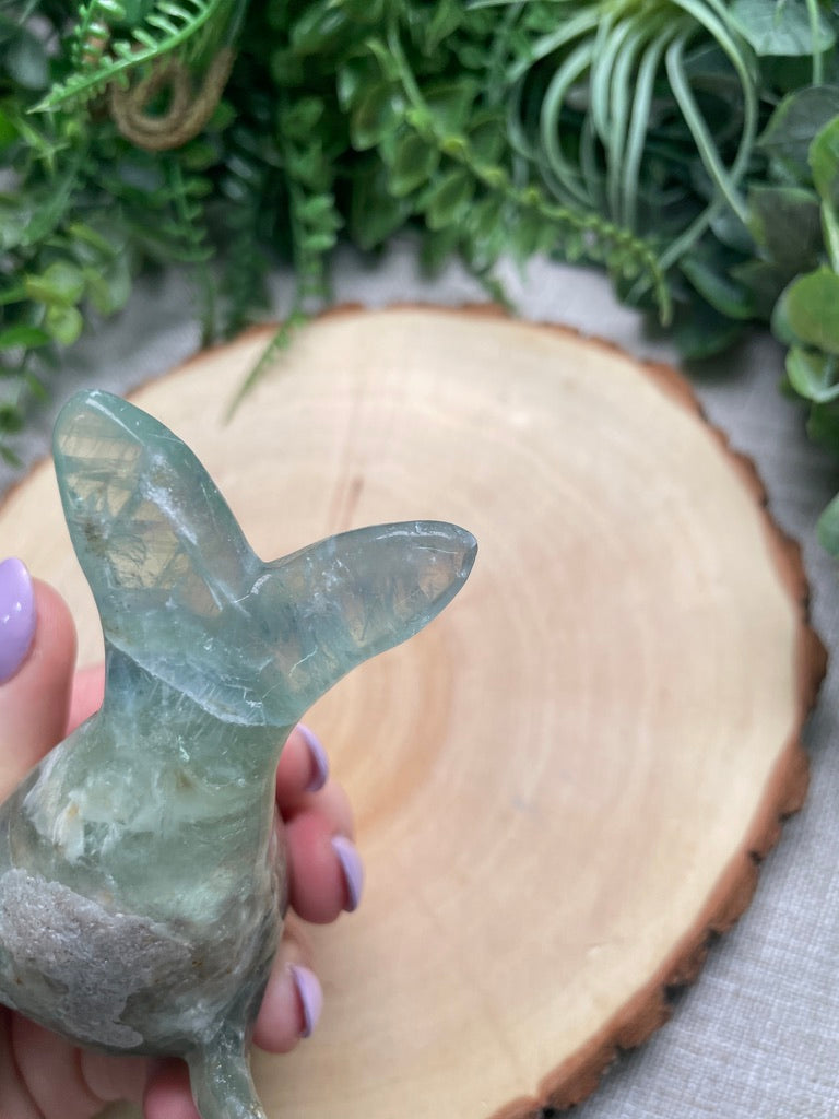 Fluorite Dolphin