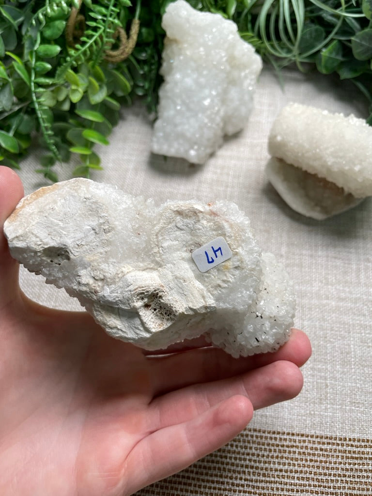 Apophyllite Cluster