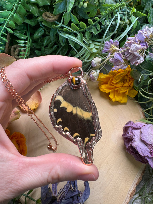 Tigers Eye and Swallowtail Butterfly Wing Necklace