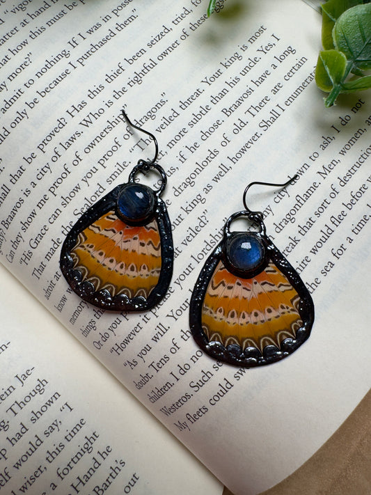 Butterfly Wing and Labradorite Earrings