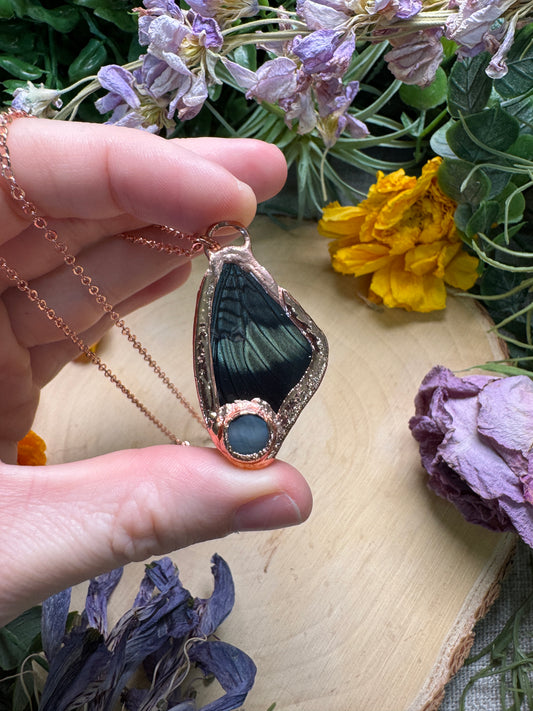 Mother of Pearl Shell and Butterfly Wing Necklace