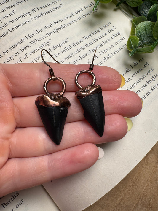Sharks Tooth Earrings