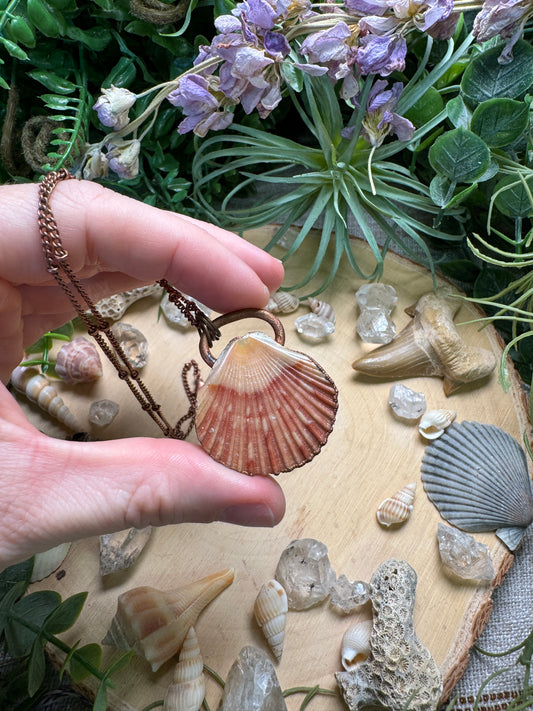 Scallop Shell Necklace