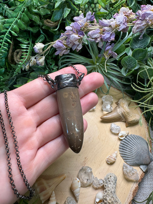 Fossilized Squid Necklace