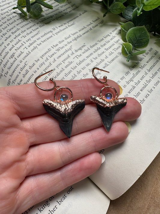 Sharks Teeth and Moonstone Earrings