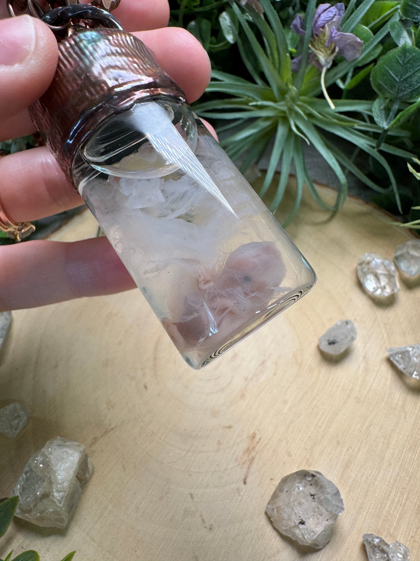 Pig Fetus Oddity Necklace