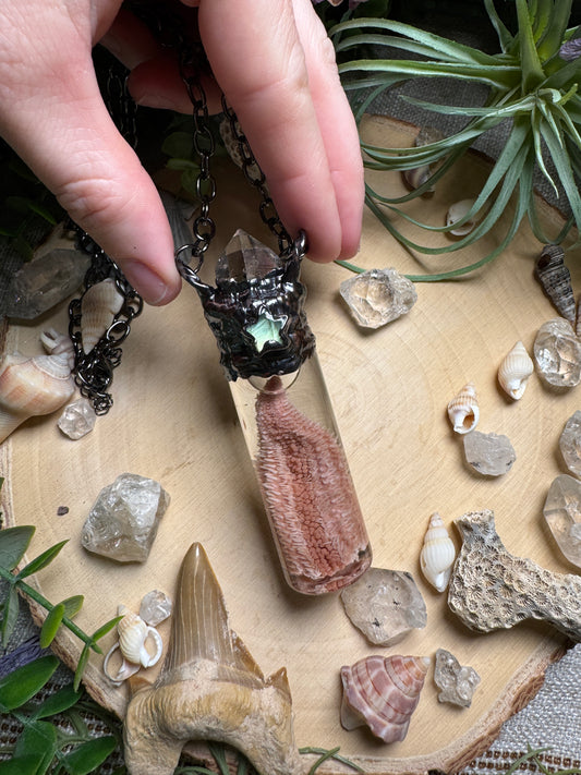 Quartz, Labradorite, and Starfish Arm Oddity Vial Necklace