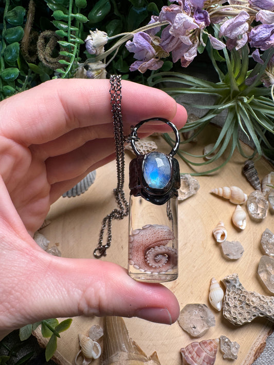 Moonstone and Octopus Arm Oddity Vial Necklace