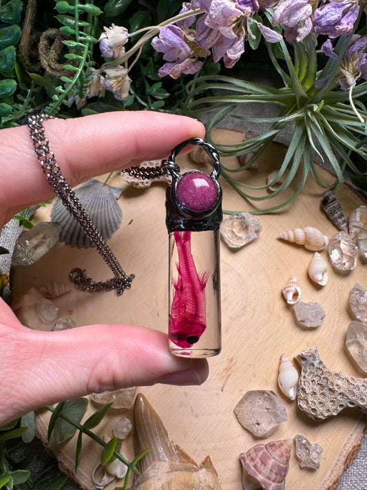 Pink Aventurine and Minnow Oddity Vial Necklace