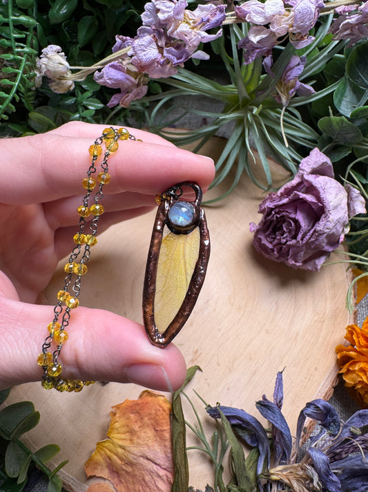 Moonstone and Grasshopper Wing Necklace