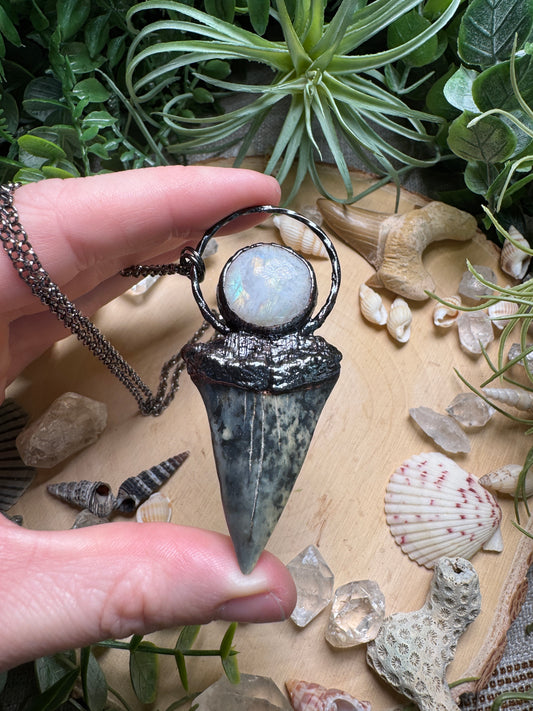 Moonstone and Shark's Tooth Necklace