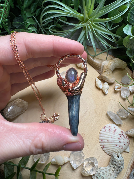 Labradorite and Shark's Tooth Necklace