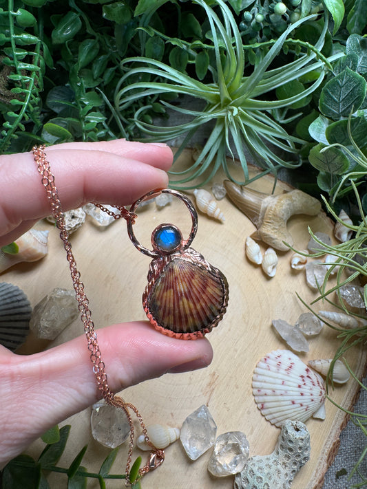 Labradorite and Scallop Shell Necklace