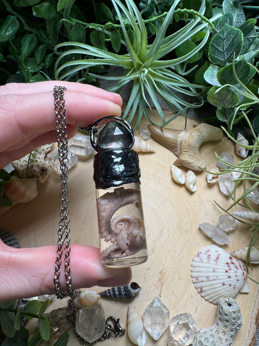 Mother of Pearl Shell and Octopus Tentacle Oddity Vial Necklace