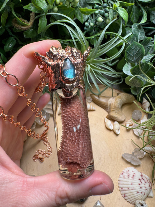 Labradorite, Barnacles, and Starfish Arm Oddity Vial Necklace