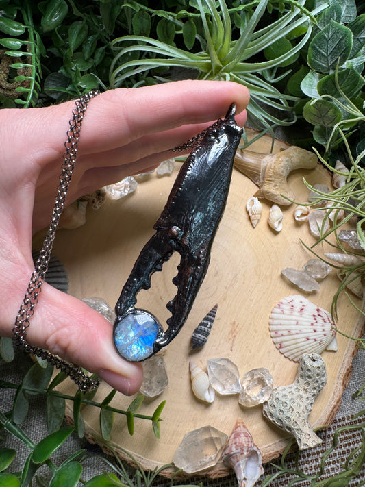 Moonstone Crab Claw Necklace