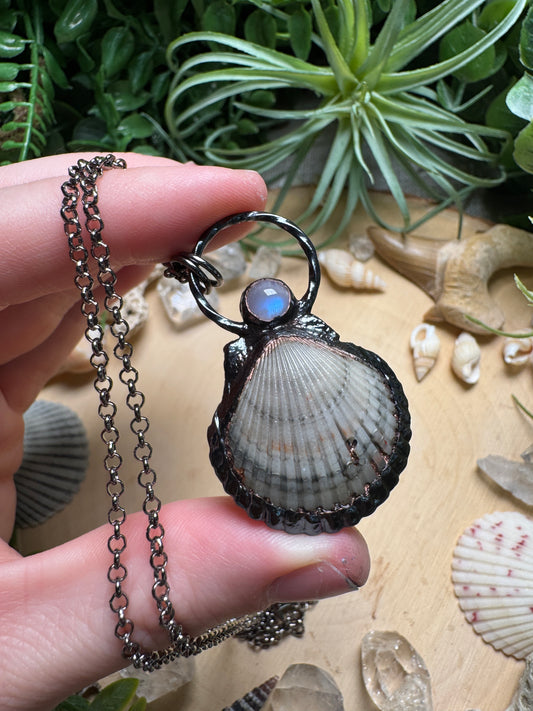 Moonstone and Scallop Shell Necklace