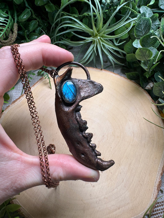 Labradorite and Otter Jawbone Necklace