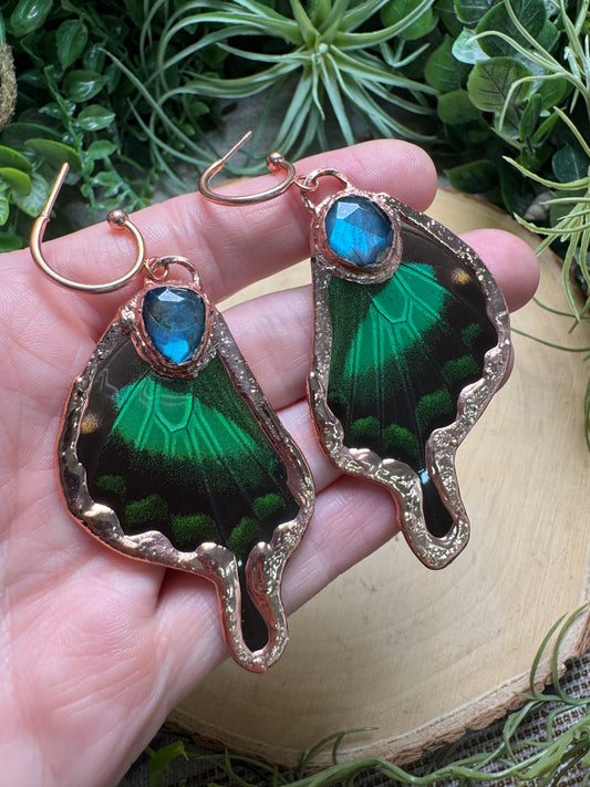 Labradorite and Butterfly Wing Earrings