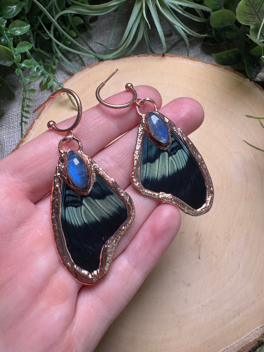 Moonstone and Butterfly Wing Earrings