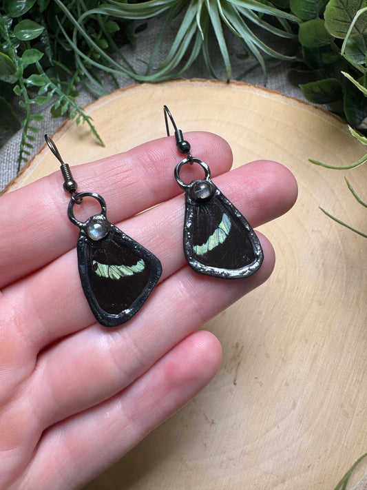 White Moonstone and Butterfly Wing Earrings