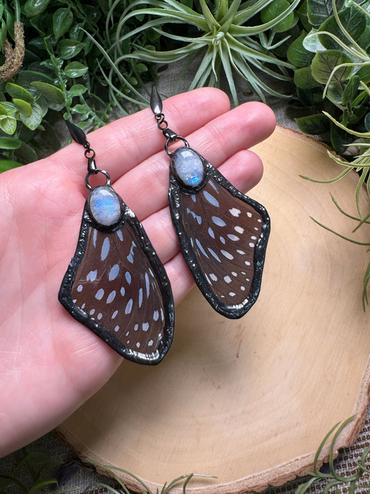 Moonstone and Butterfly Wing Earrings