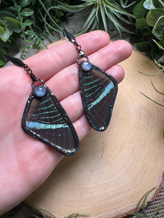 Moonstone and Butterfly Wing Earrings